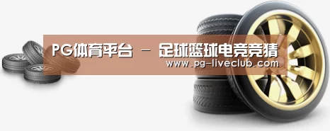 关于PG体育 