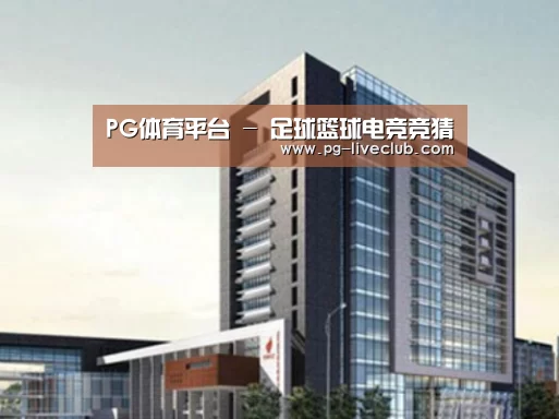PG体育案例展示四