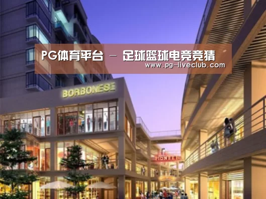 PG体育案例展示一
