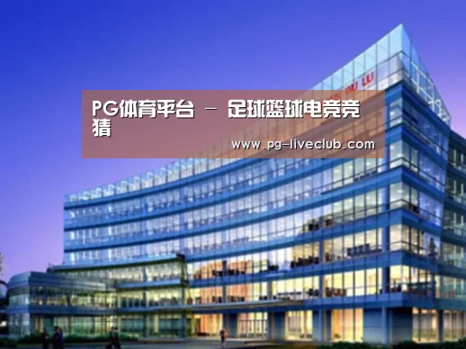 PG体育案例展示三
