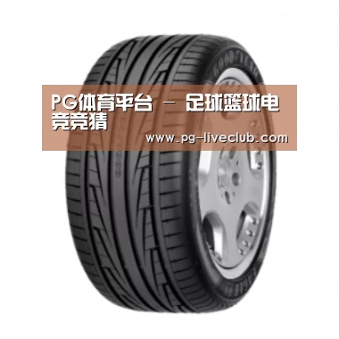 PG体育产品名称三