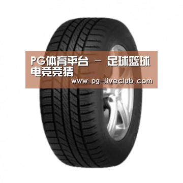 PG体育产品名称八