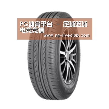 PG体育产品名称六