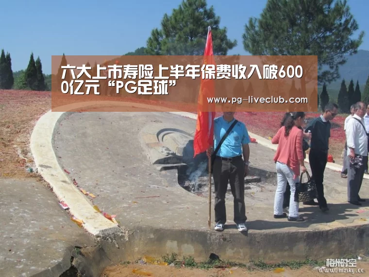 六大上市寿险上半年保费收入破6000亿元“PG足球”(图1) PG篮球