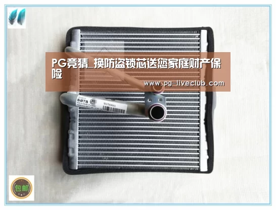 PG竞猜_换防盗锁芯送您家庭财产保险(图2) PG竞猜