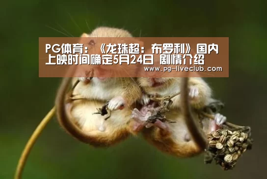 PG体育:《龙珠超:布罗利》国内上映时间确定5月24日 剧情介绍(图1) PG竞猜