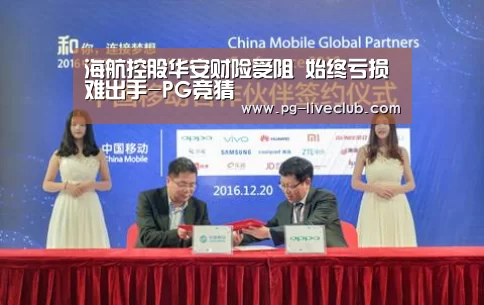 海航控股华安财险受阻 始终亏损难出手-PG竞猜(图1) PG体育